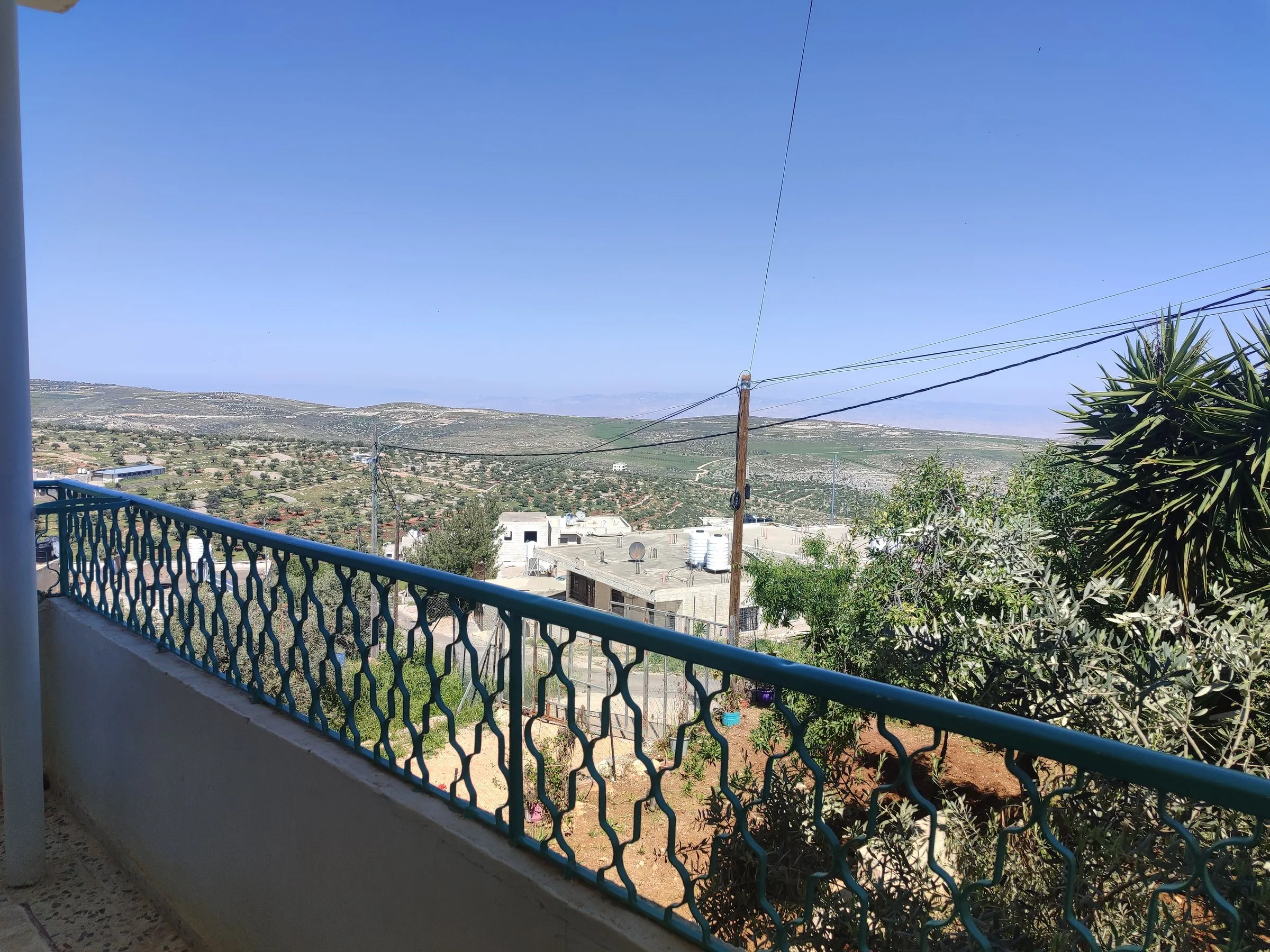 The view of olive groves and hills from the balcony